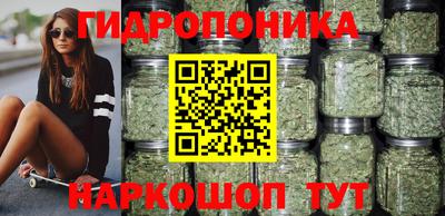 СК Абакан